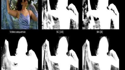 L1-regularized reconstruction error as alpha mattes