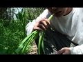 【再編集】多摩川自給自足生活(その1)