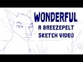 Wonderful - Breezepelt Sketch Video
