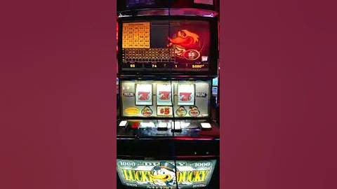 Lucky Duck Big Win Last Night Winstar Casino