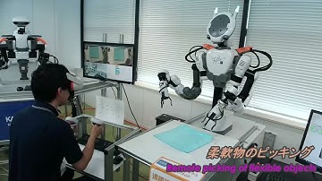 Remote Operating System (Remote Error Recovery, Remote Picking)