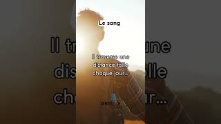 Ton sang fait ça… et personne ne te l’a dit 😳❓ #shorts  #citation #faitsinteressants #corpshumain