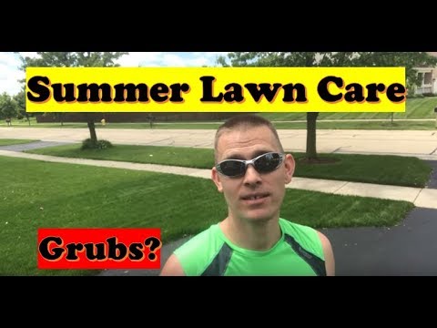 Grubex: Kill Grubs in Lawn | Summer Lawn Care Program (LAWN CARE) - YouTube