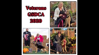 2020 GSDCA National Veterans by GSD Video 109 views 3 years ago 48 minutes