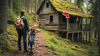 A Broke Veteran Inherited A Worthless Mountain House  His Dog Knew The Truth Below