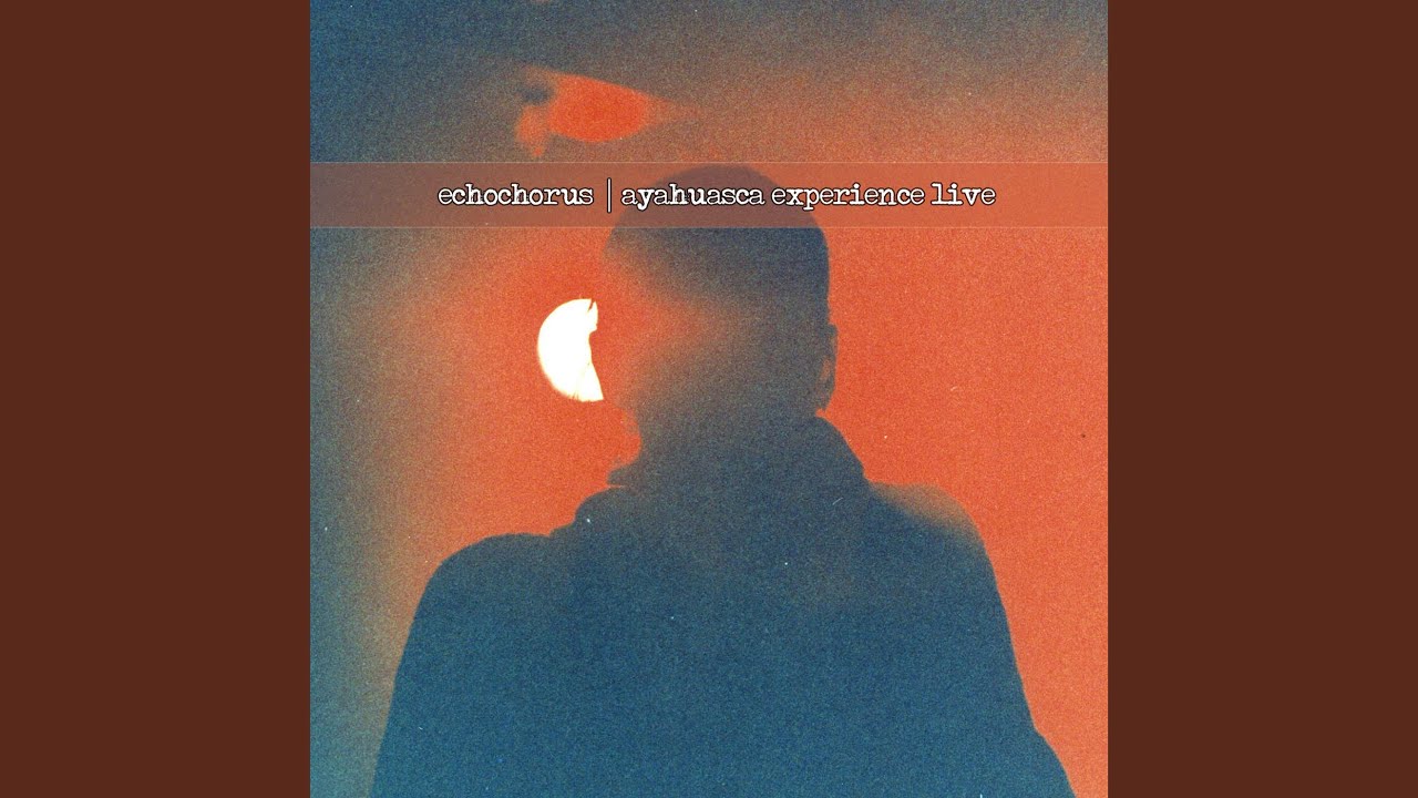 Ayahuasca Experience Live