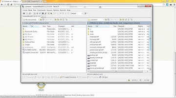 biosonics video 11 14