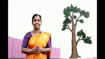 Std 4 English Unit 1 Class 01 White Board HI mp4