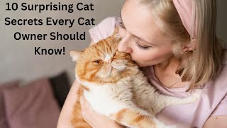 Unveiling The Purrfect Secrets What Every Cat Owner Needs To Know