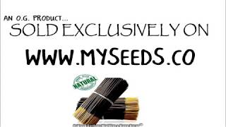GOAT MILK & HONEY Incense - Natural Premium Incense By Oakland Gardens
