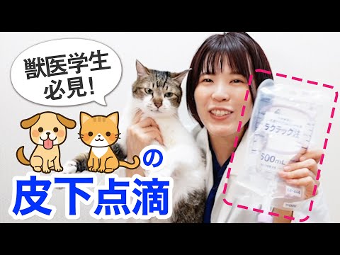 Preparing and administering subcutaneous intravenous drips to pets