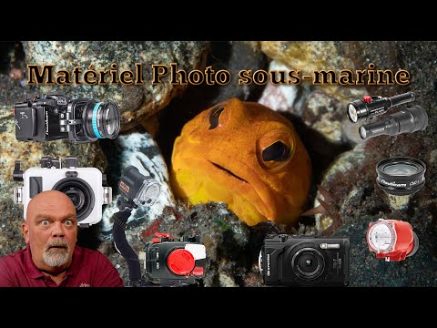 Choisissez La Caméra Sous-marine Idéale Pour Vos Aventures De Plongée