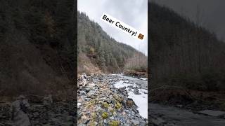 Deep in Alaska Bear Country