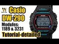 Casio DW-290 - module 3131 & 1189 - tutorial on how to setup and use all the functions