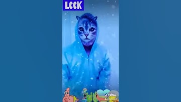 spongebob where in middle of nowhere 😅