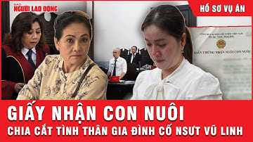 Chuyện chưa kể: Tờ giấy nhận con nuôi và bi kịch chia cắt gia đình cố NSƯT Vũ Linh | Hồ sơ vụ án