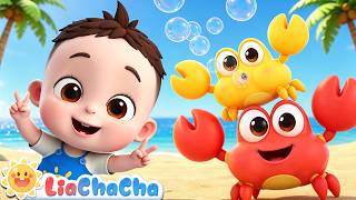 little crab song fun ocean animal song kids liachacha nursery