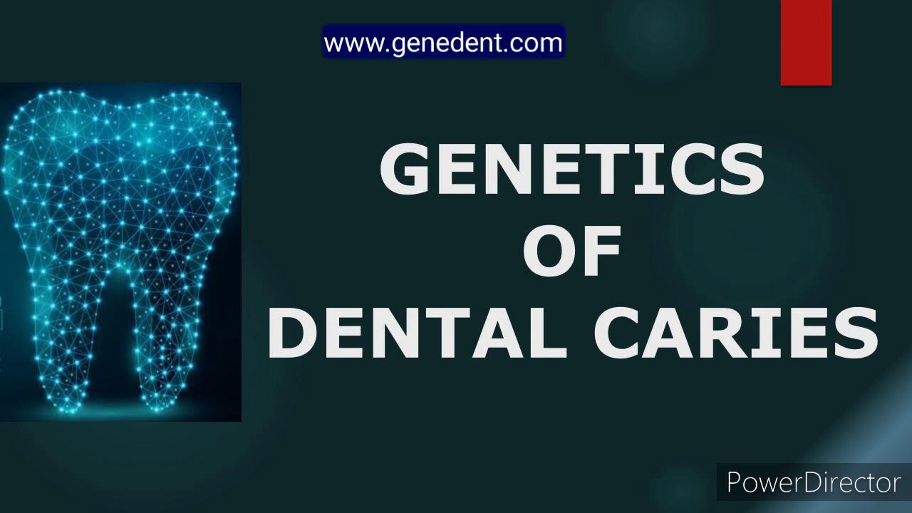 of Dental Caries YouTube