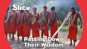 The Wajapi Preserving Their Identity and Way of Life | SLICE