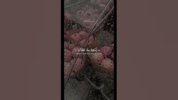 وَأَنزَلۡنَا مِنَ ٱلسَّمَآءِ مَآءٗ طَهُورٗا | مقطع قصير من سورة الفرقان | تلاوة خاشعة