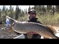 White River Air Fly Fishing for Pike