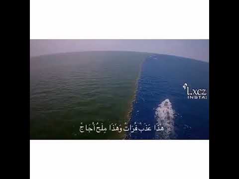 وهو الذي مرج البحرين هذا عذب فرات وهذا ملح أجاج وجعل بينهما برزخا وحجرا محجورا خالد الجليل