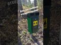 Урны для животных ... в Германии #жизньвгермании