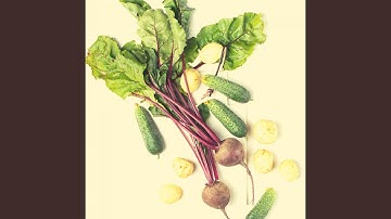 Pulsating Ambience for Fresh Cooking at Home