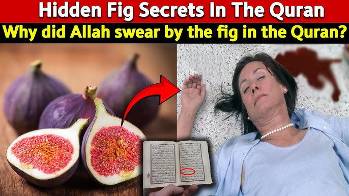 Yigitlar navbat bilan sikishadi