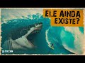 Evidências de que o megalodon ainda está vivo – E Se For Verdade