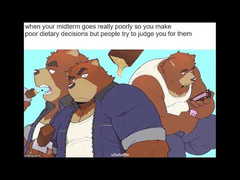 furry-memes-7