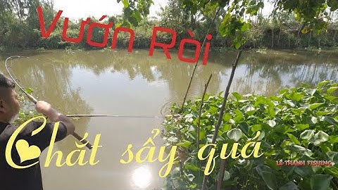 Về Đồng Tháp câu cá tra, mò cá , hến ...  Chuyến câu Đầy thú vị | Câu cá tra Đồng Tháp