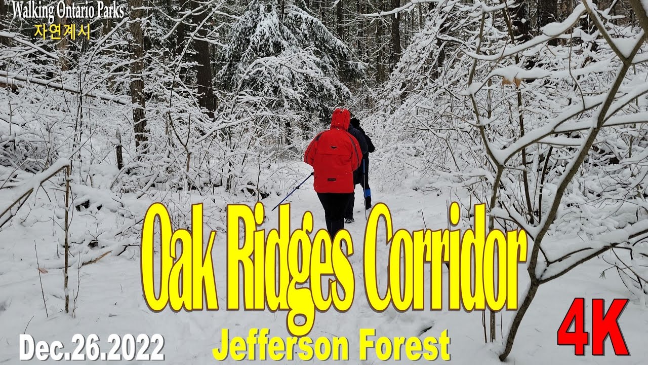 [4K] Oak Ridges Corridor Trail, Richmond Hill,  [Dec.26, 2022]