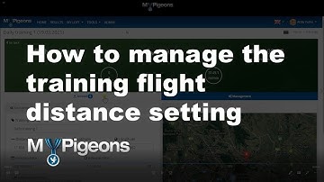 How to manage the training flight distance setting in MyPigeons