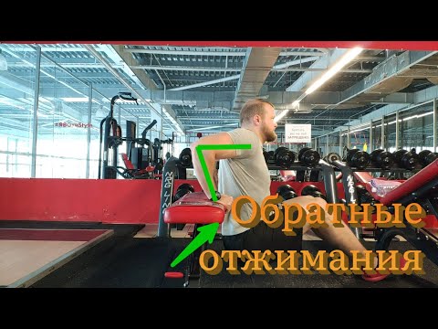 Обратные отжимания. Отжимания от скамьи. Техника выполнения