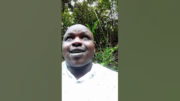 Nandi Kenyansociety Stitch Nandiexperience Africa Iamthewoliagbaye Kasongo Ruto Rutotoday 