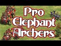 Indian Elephant Archers in Pro Game