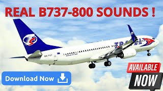 The Most Accurate Sound Pack for PMDG 737 in MSFS !