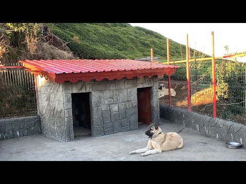 Bu Gune Kadar Yaptigimiz En Guzel Kopek Kulubesi Youtube Bu Gune Kadar Yaptigimiz En Guzel Kopek Kulubesi Youtube