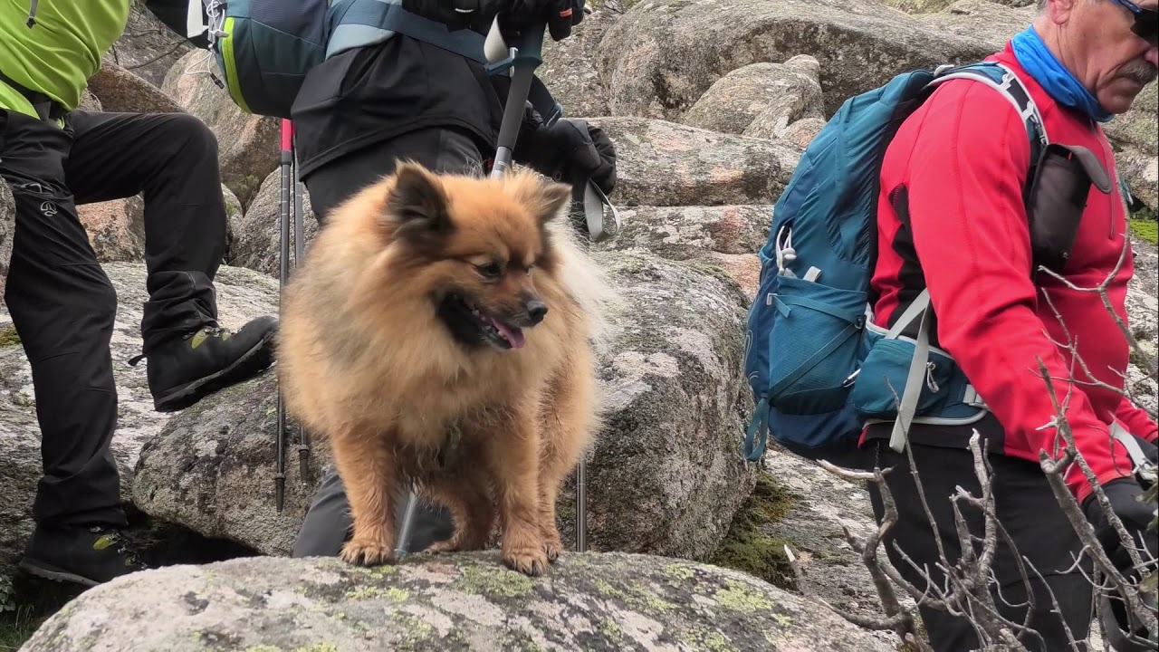 LA PEDRIZA  LA RAJA   HUECO DE LAS HIGUERA   SENDA MAESO   LAS PIRAMIDES   25   FEBRERO   2021