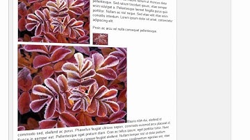 iWiccle - Articles Builder v1.11