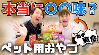【実食検証】ペット用おやつって本当に〇〇味?獣医師&看護師が食べてみた!