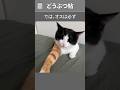 幸運の象徴なのに、生まれること自体が遺伝の異常