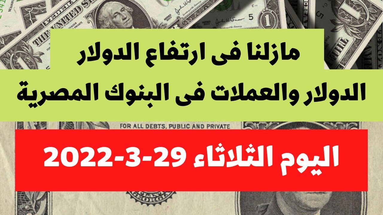 سعر الدولار بمصر الان