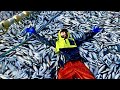 2021 Bait Herring Season: Commercial Fishing Alaska