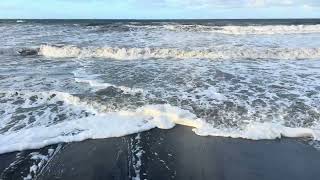 IMG 8631