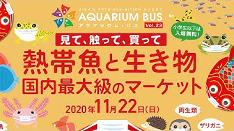 アクアリウムバス Youtube アクアリウムバス Youtube
