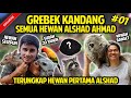 GREBEK SEMUA KOLEKSI HEWAN ALSHAD AHMAD TERLENGKAP! TERUNGKAP HEWAN PERTAMA?! #GREBEKKANDANG #PART1