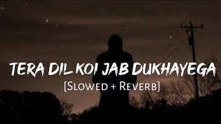 Tera Dil Koi Jab Bhi Dukhayega Yaad Tujhko Ye Mera Pyar Aayega [Slow & Reverb]