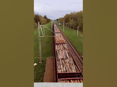 Товарный поезд #велопокатушки #путешествие - YouTube